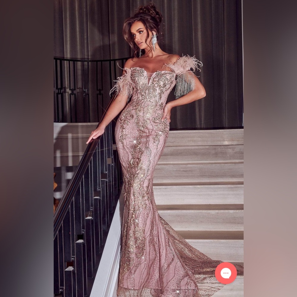 Portia and scarlet feather sleeve rose gold gown dress